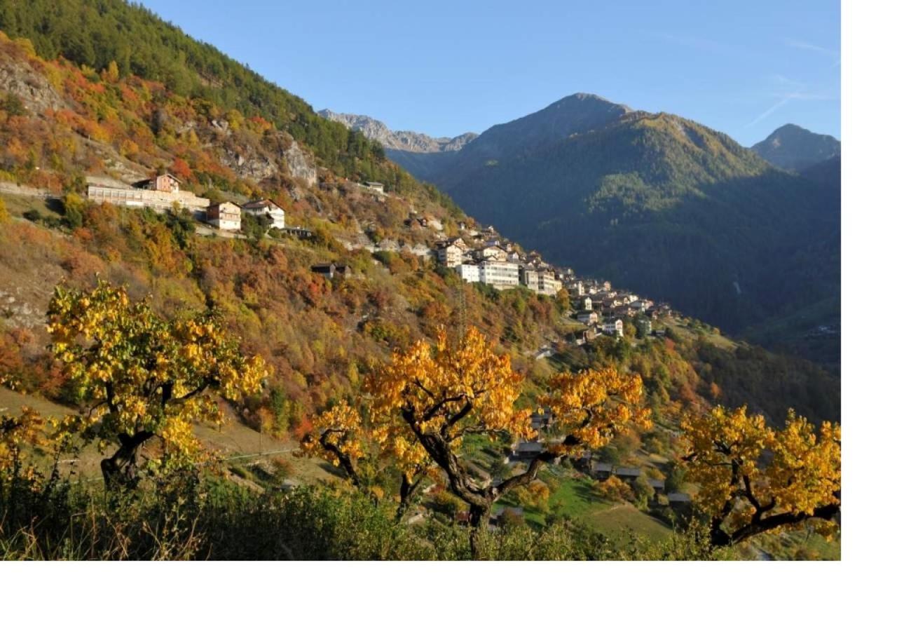 Le Cocon Du Catogne Proche Martigny Verbier - Netflix - Valettes Kültér fotó