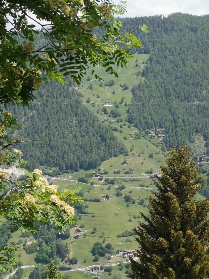 Le Cocon Du Catogne Proche Martigny Verbier - Netflix - Valettes Kültér fotó